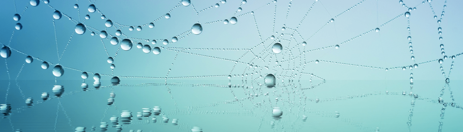 spiderweb_banner_tiny